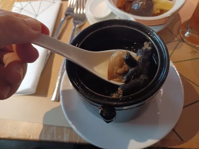 烏雞湯