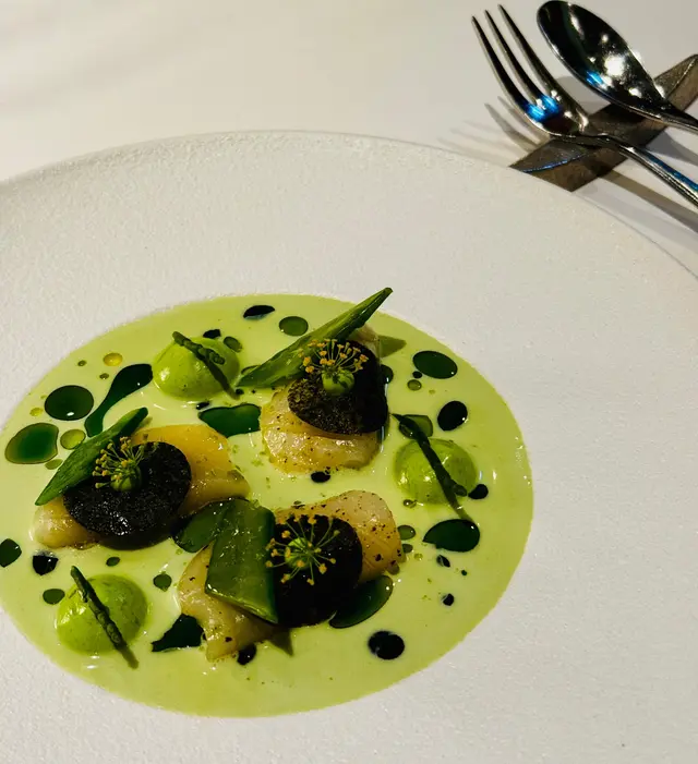 Scallop